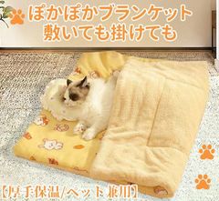 Item thumbnail for item 258fc498-ef03-42f5-800b-8a63a1109cca