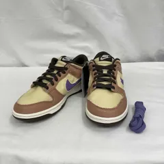 NIKE/ナイキ/DUNK LOW RETRO SE/ダンクロー レトロ SE/HF3141-200/スニーカー/26cm