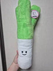 野菜ネギ 中型 IN 채소