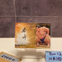 値下げ可 大相撲 横綱 豊昇龍関 直筆サインカード【41枚限定】 - メルカリ