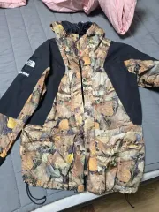 (M)ノースフェイス x シュプリーム コラボ ジャケット 落ち葉
