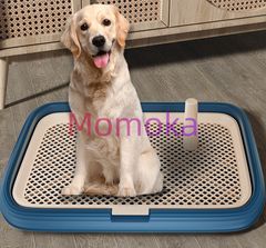 Item thumbnail for item 2374aa25-8dd1-4261-9095-7a5a43ac878e