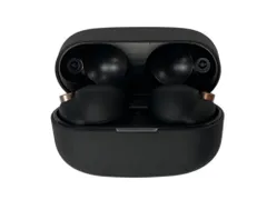 SONY (ソニー) ノイズキャンセリング ワイヤレスイヤホン WF-1000XM4 ブラック 家電/009