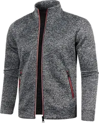 aspersio アスペルシオ フルジップ フリース ジャンパー フードなし 長袖 ストリート オシャレ アウター メンズ 立て襟 フリースジャケット 軽量 ジップアップ 裏フリース 通勤 通学 登山 ハイネック (シェードグレー,  L)