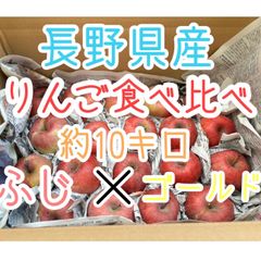 🎅クリスマスSALE🎅最安値に挑戦🍎訳あり家庭用！ふじ、シナノゴールド長野県産シナノスイート10kg🍎りんご【全国送料無料】アップル　林檎　フルーツ
