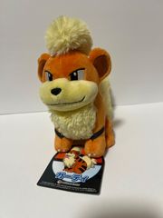 ポケモン 物産展 ローカル Acts おきなわ応援ポケモン ガーディ