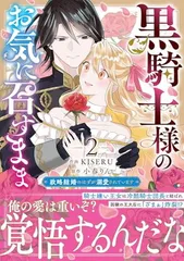 黒騎士様のお気に召すまま〜政略結婚のはずが溺愛されています〜　２ (ベリーズファンタジーコミックス)
