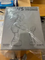 2025年最新】kaws the promiseの人気アイテム - メルカリ