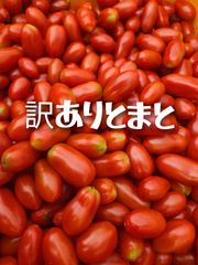 熊本県産ミニトマト「茜とまと1キロ」 - メルカリ