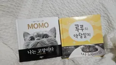 クリームヒーローズ回顧録 略奪日誌 書籍 はがきまとめ