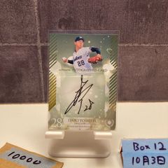 2024 Topps J.League アレクサンダーショルツ Alexander Scholz 直筆