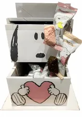 【ユニバーサルスタジオジャパン USJ 限定】 スヌーピー アソートクランチ チョコレート ワンダーランド 人気 お土産 お菓子 ユニバ グッズ プレゼント (1個)