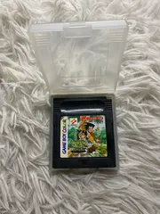 【中古】GBC サバイバルキッズ　孤島の冒険者