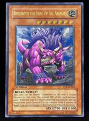 遊戯王 英語 北米版 黒薔薇の破滅竜 スターライトレア 1st - メルカリ