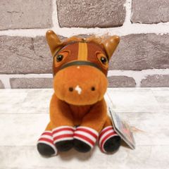 中山グランドジャンプ オジュウチョウサン アイドルホース レギュラー