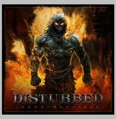 Indestructible(中古品)