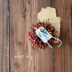 🎄クリスマスのポポラスミルフィーユ〗X'masガーランド Christmas