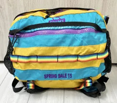 CHUMS SPRING DALE 15 チャムス リュック デイパック イエロー ブルー