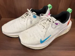 NIKE ナイキ REACTX Infinity Run 4 SE FJ1047-100 ランニングシューズ スニーカー ホワイト 汚れ有り