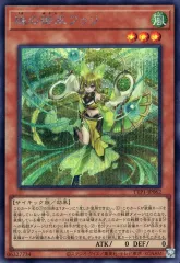 2026年最新】珠の御巫フゥリ TTP1-JP062 Rの人気アイテム - メルカリ