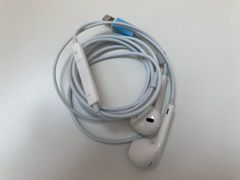 Item thumbnail for item ef01889f-cbfa-4184-8885-867c8eb151b4