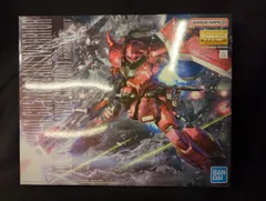 BANDAI SPIRITS MG 1/100 バンダイナムコ版 ガナーザクウォーリア (ルナマリア・ホーク専用機)