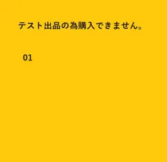商品名です rakuma1126-081