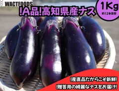 2026年最新】高知なすの人気アイテム - メルカリ