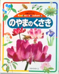 しぜん キンダーブック あさがお - メルカリ