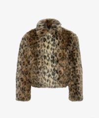 パウロ・コエーリョ 小説 - メルカリ パウロ・コエーリョ 小説 - メルカリ