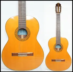 2025年最新】野上三郎 ギターの人気アイテム - メルカリ