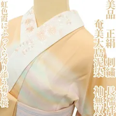 ✾まめ藤✾美品 奄美大島泥染 正絹 着物 刺繍 袖無双“虹色霞にふっくら寄り添う菊と桜”長襦袢 D-11