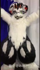 ファースーツ 犬 リアル マスク 着ぐるみセット グリーン ケモノ