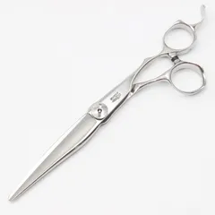 2026年最新】ミズタニシザー swordの人気アイテム - メルカリ