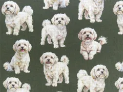 【ゆきちゃん限定】X2478 マルプー クリーム系 カーキ 生地 1m