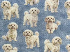 【ゆきちゃん限定】X2480 マルプー クリーム系 デニムブルー 生地 1m