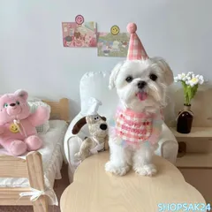 ペット用 誕生日スタイ 帽子セット 犬 猫 小型犬用 可愛い 刺繍 よだれかけ パーティー 韓国風 チェック柄 4色676