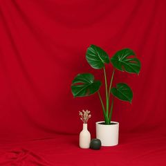 Item thumbnail for item 56e6c663-b4d2-4092-a2ba-990e882c4518