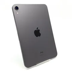 Apple iPad mini 8.3インチ 第6世代 64GB スペースグレイ Wi-Fi 超美品 動作確認済【全額返金保証】【最速発送】
