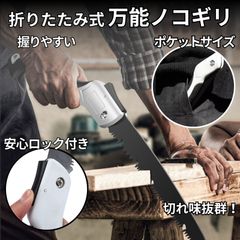 Item thumbnail for item 304336c9-f3ff-41f5-a43d-d541d3d2bb60