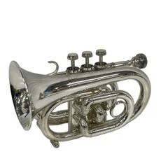 2025年最新】ポケットトランペットの人気アイテム - メルカリ