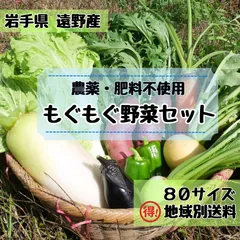 《送料お得便》\\農家直送 子どもも喜ぶ//岩手 野菜詰め合わせ 10〜12種類 80サイズ《無農薬》