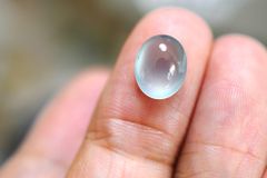 珊瑚 赤珊瑚 天然珊瑚玉 ルース 玉約16.5mm重さ約6.2g 珊瑚 赤珊瑚 天然珊瑚玉 ルース 玉約16.5mm重さ約6.2g - メルカリ