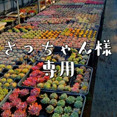 さっちゃん様専用