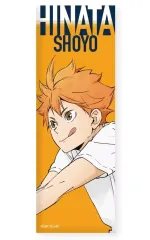 【中古】バッジ・ビンズ 日向翔陽 「ハイキュー!! トレーディングロング缶バッジ ～レシーブ～」