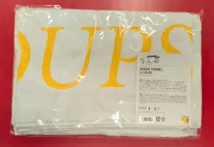 SEVENTEEN 2024 FOLLOW AGAIN TO JAPAN S.COUPS HOOD TOWEL