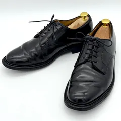 REGAL リーガル 2504 革靴 プレーントゥ 25.5cm 25.5EE 黒 ブラック 外羽根 ビジネスシューズ ドレスシューズ 靴 紐靴 レースアップシューズ