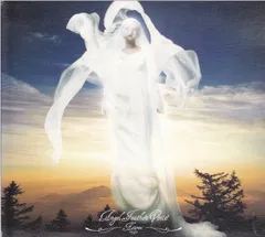 Angel Feather Voice - Hitomi(黒石ひとみ)(中古品)