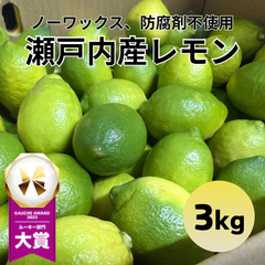 【皮ごと食べれる】広島県産 レモン 3kg ノーワックス 防カビ剤不使用 国産 れもん 野菜 果物 フルーツ 青果 市場直送 訳あり サワー パスタ デザート 自然のままで育った土づくり 贈答 ギフト