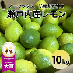 【皮ごと食べれる】広島県産 レモン 10kg ノーワックス 防カビ剤不使用 国産 れもん 野菜 果物 フルーツ 青果 市場直送 訳あり サワー パスタ デザート 自然のままで育った土づくり 贈答 ギフト